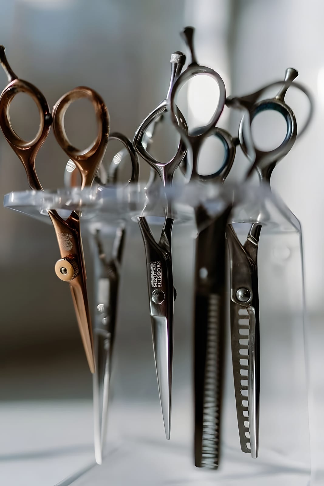 Several pairs of hair cutting scissors standing upright